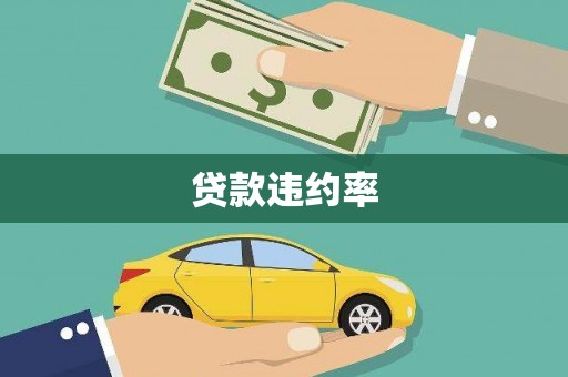 德钦贷款违约率