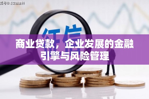 德钦商业贷款，企业发展的金融引擎与风险管理