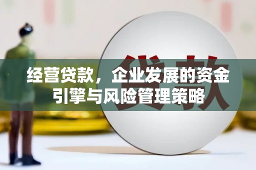 德钦经营贷款，企业发展的资金引擎与风险管理策略
