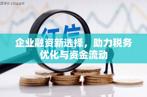 德钦企业融资新选择，助力税务优化与资金流动