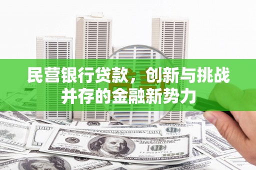 德钦民营银行贷款，创新与挑战并存的金融新势力