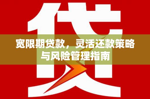 德钦宽限期贷款，灵活还款策略与风险管理指南