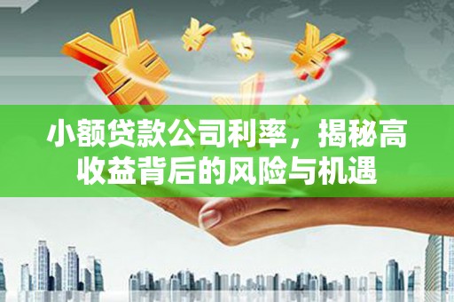 德钦小额贷款公司利率，揭秘高收益背后的风险与机遇