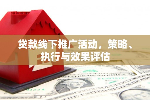 德钦贷款线下推广活动，策略、执行与效果评估