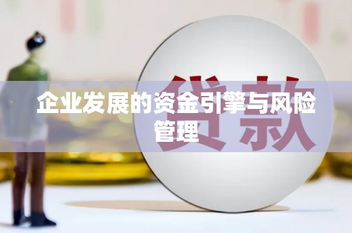 德钦企业发展的资金引擎与风险管理