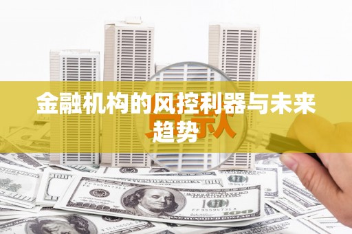 德钦金融机构的风控利器与未来趋势