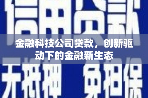 德钦金融科技公司贷款，创新驱动下的金融新生态