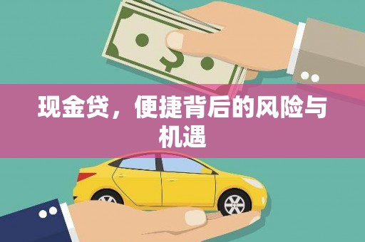 德钦现金贷，便捷背后的风险与机遇