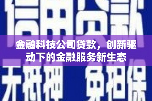 德钦金融科技公司贷款，创新驱动下的金融服务新生态