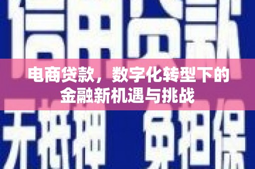 德钦电商贷款，数字化转型下的金融新机遇与挑战