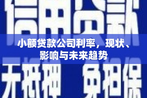德钦小额贷款公司利率，现状、影响与未来趋势