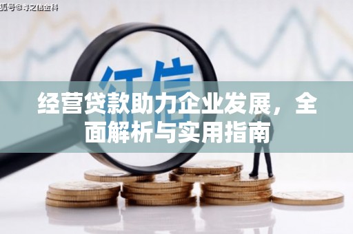 德钦经营贷款助力企业发展，全面解析与实用指南