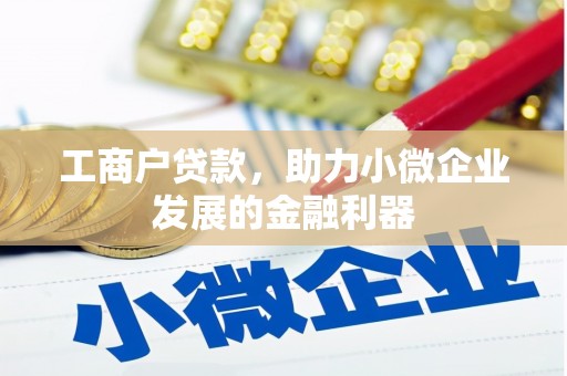 德钦工商户贷款，助力小微企业发展的金融利器