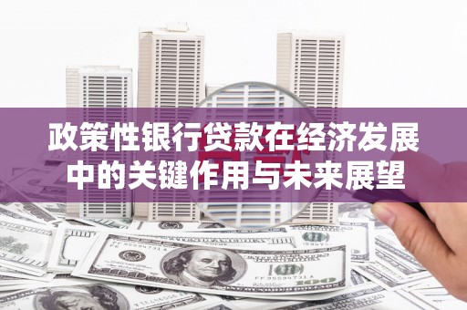 德钦政策性银行贷款在经济发展中的关键作用与未来展望