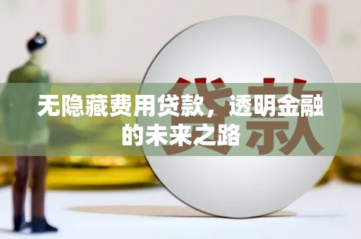 德钦无隐藏费用贷款，透明金融的未来之路