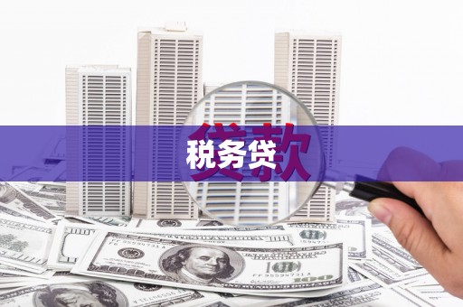 德钦税务贷