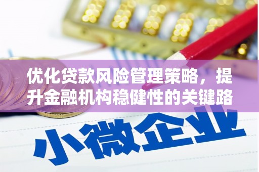 德钦优化贷款风险管理策略，提升金融机构稳健性的关键路径