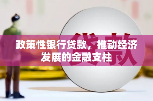 德钦政策性银行贷款，推动经济发展的金融支柱