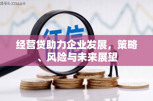 德钦经营贷助力企业发展，策略、风险与未来展望