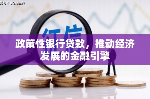 德钦政策性银行贷款，推动经济发展的金融引擎