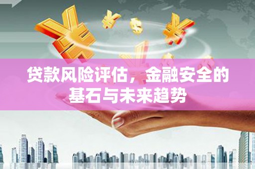 德钦贷款风险评估，金融安全的基石与未来趋势