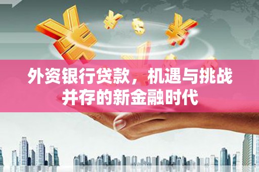 德钦外资银行贷款，机遇与挑战并存的新金融时代