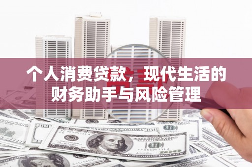 德钦个人消费贷款，现代生活的财务助手与风险管理
