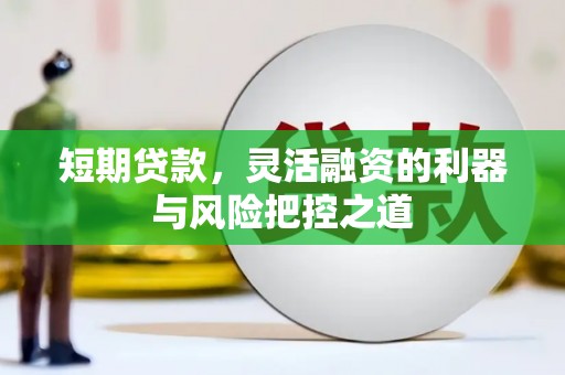 德钦短期贷款，灵活融资的利器与风险把控之道