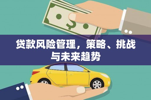 德钦贷款风险管理，策略、挑战与未来趋势