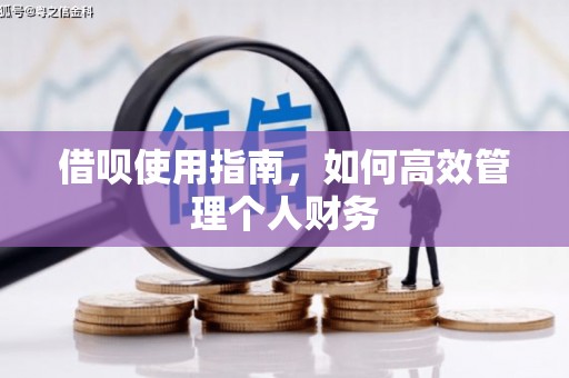 德钦借呗使用指南，如何高效管理个人财务