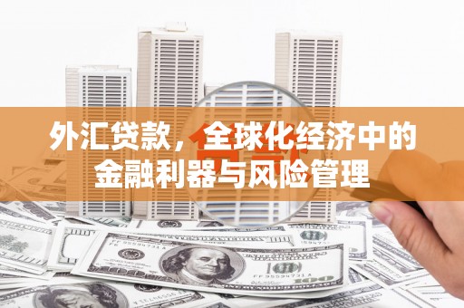 德钦外汇贷款，全球化经济中的金融利器与风险管理