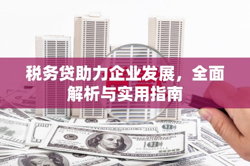 德钦税务贷助力企业发展，全面解析与实用指南