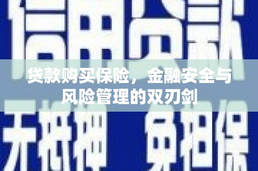 德钦贷款购买保险，金融安全与风险管理的双刃剑
