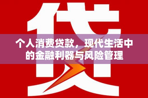 德钦个人消费贷款，现代生活中的金融利器与风险管理
