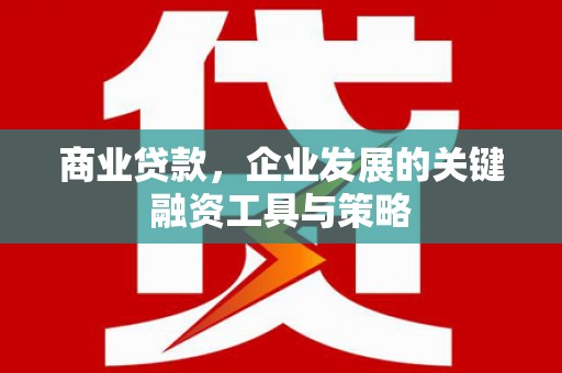 德钦商业贷款，企业发展的关键融资工具与策略