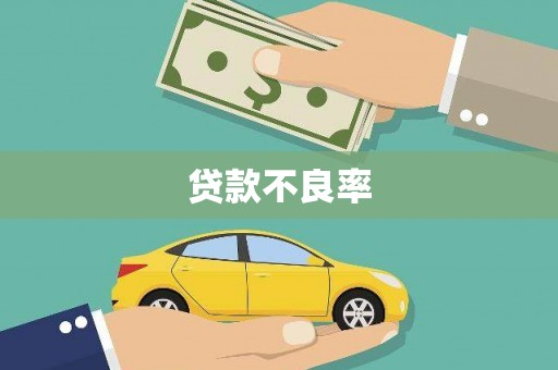 德钦贷款不良率