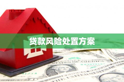 德钦贷款风险处置方案