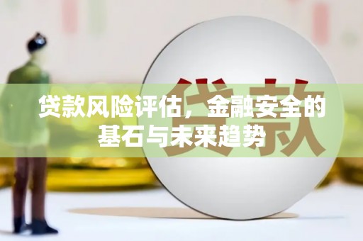 德钦贷款风险评估，金融安全的基石与未来趋势