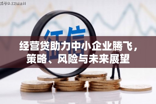 德钦经营贷助力中小企业腾飞，策略、风险与未来展望