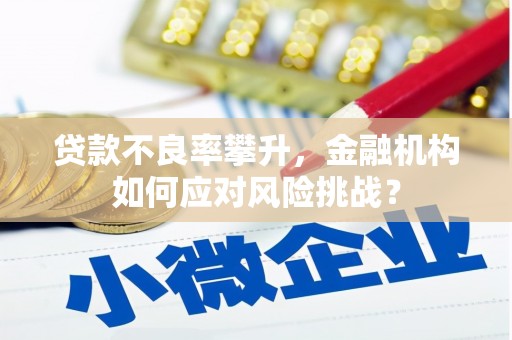 德钦贷款不良率攀升，金融机构如何应对风险挑战？