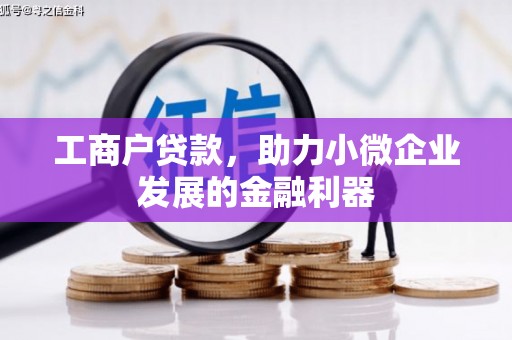 德钦工商户贷款，助力小微企业发展的金融利器