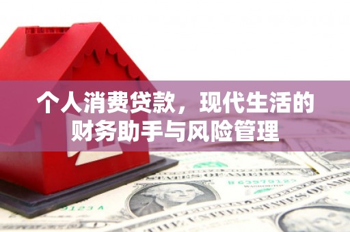 德钦个人消费贷款，现代生活的财务助手与风险管理