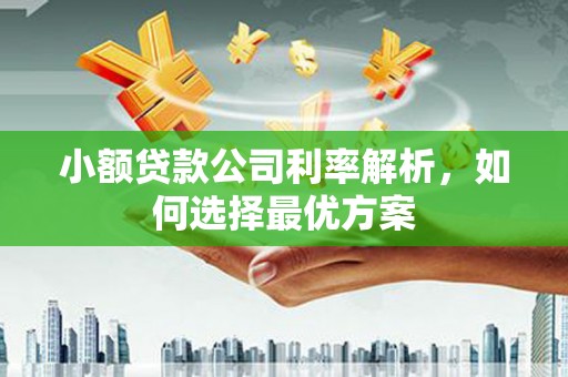 德钦小额贷款公司利率解析，如何选择最优方案