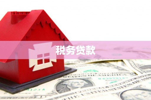 德钦税务贷款
