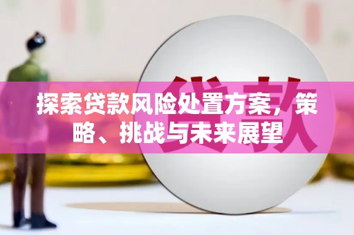 德钦探索贷款风险处置方案，策略、挑战与未来展望