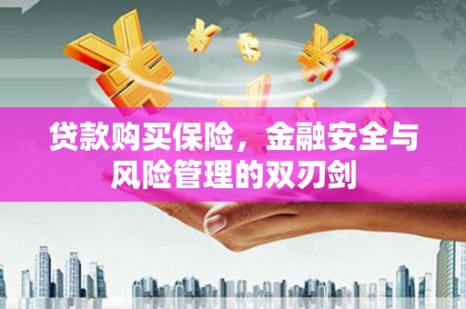 德钦贷款购买保险，金融安全与风险管理的双刃剑