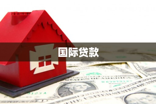 德钦国际贷款