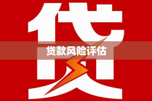 德钦贷款风险评估