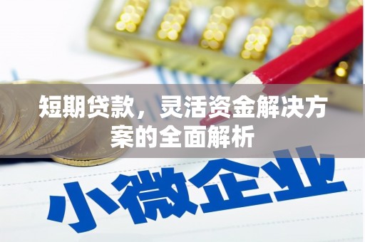 德钦短期贷款，灵活资金解决方案的全面解析