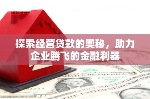 德钦探索经营贷款的奥秘，助力企业腾飞的金融利器